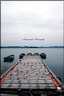 dailyPhoto21